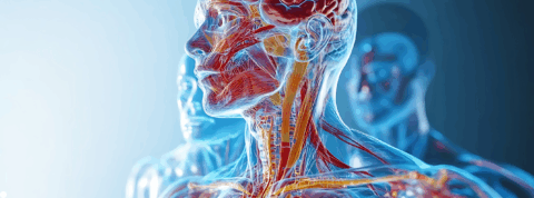 Understanding the Infraorbital Nerve Block: What It Is and When It’s Used