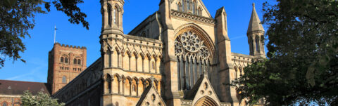 Expert Dermatology & Minor Surgery in St Albans